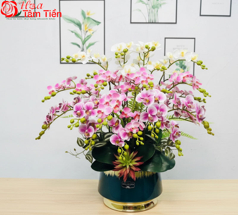 Chiêm ngưỡng 15+ mẫu chậu lan hồ điệp giả cao cấp đẹp nhất