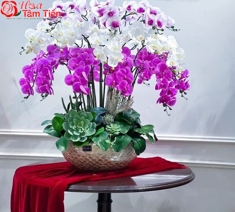 Chiêm ngưỡng 15+ mẫu chậu lan hồ điệp giả cao cấp đẹp nhất