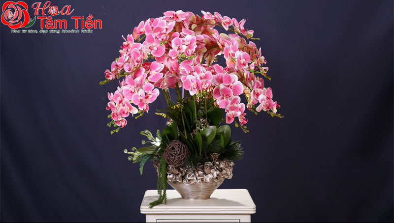 Chiêm ngưỡng 15+ mẫu chậu lan hồ điệp giả cao cấp đẹp nhất