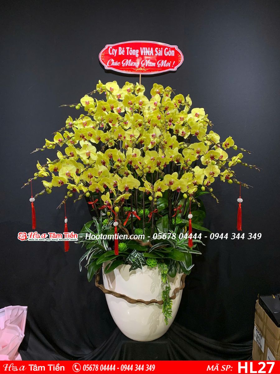 Hoa Lan Hồ Điệp 27