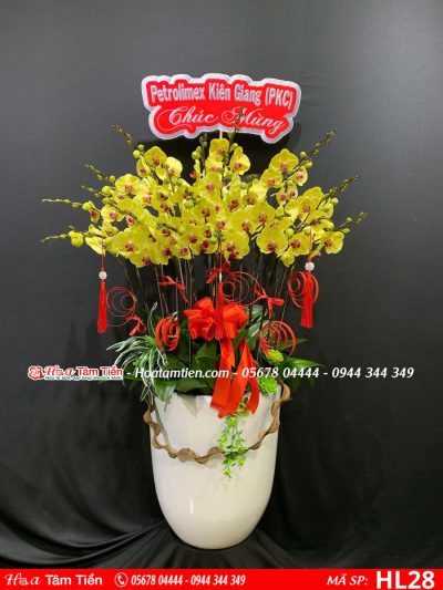 Hoa Lan Hồ Điệp 28
