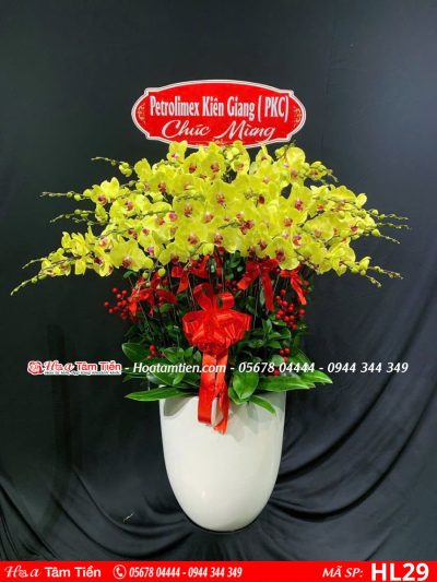 Hoa Lan Hồ Điệp 29