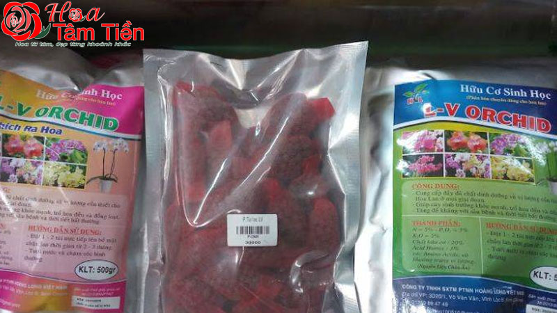 6 loại phân bón lan hồ điệp tốt nhất hiện nay nên chọn