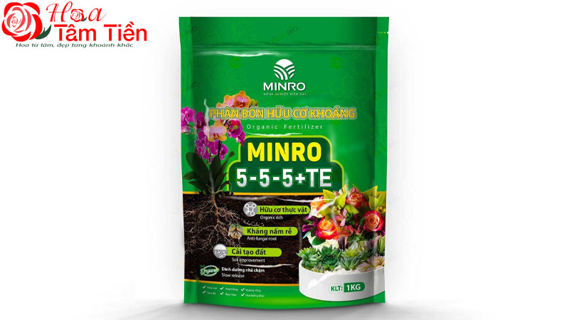 6 loại phân bón lan hồ điệp tốt nhất hiện nay nên chọn