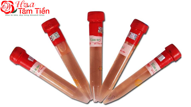 TOP 5 thuốc kích hoa lan hồ điệp ra hoa và rễ an toàn, hiệu quả