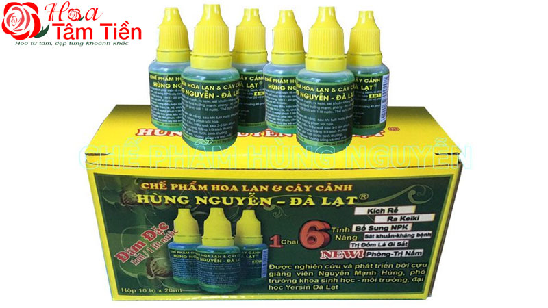 TOP 5 thuốc kích hoa lan hồ điệp ra hoa và rễ an toàn, hiệu quả