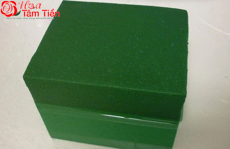 Hướng dẫn cách cắm lan hồ điệp 9 cành chi tiết