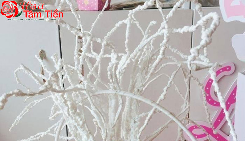 Hướng dẫn cách cắm lan hồ điệp 9 cành chi tiết