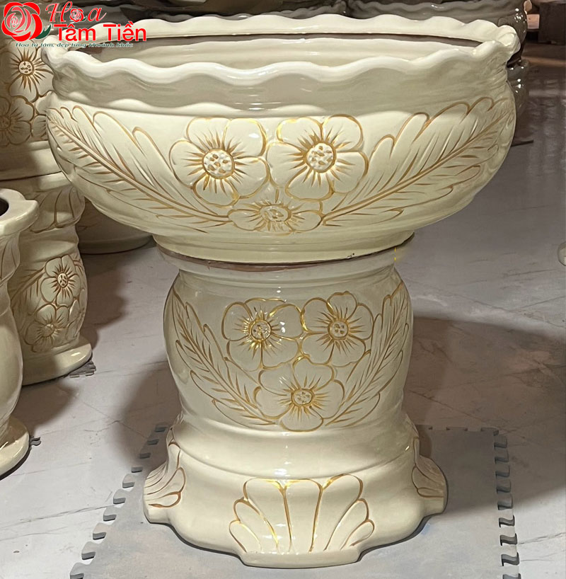 Khám phá bảng giá chậu sứ trồng lan hồ điệp các loại