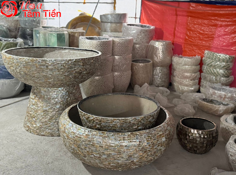 Khám phá bảng giá chậu sứ trồng lan hồ điệp các loại