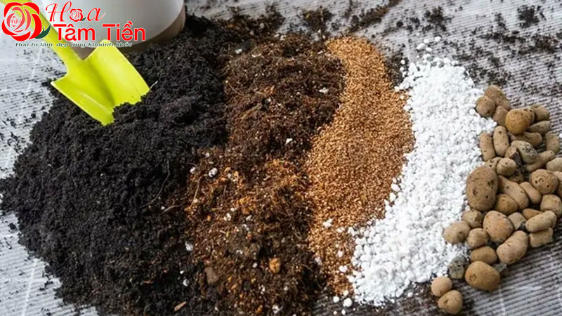Cách làm giá thể trồng lan hồ điệp chuẩn kỹ thuật