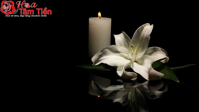 Ý nghĩa của hoa ly trắng trong đám tang