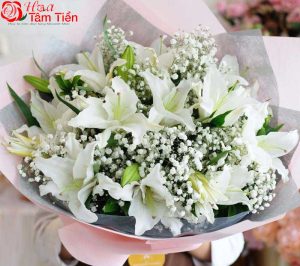 Hoa Tâm Tiền