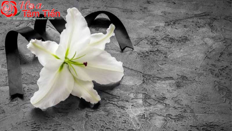 Ý nghĩa của hoa ly trắng trong đám tang