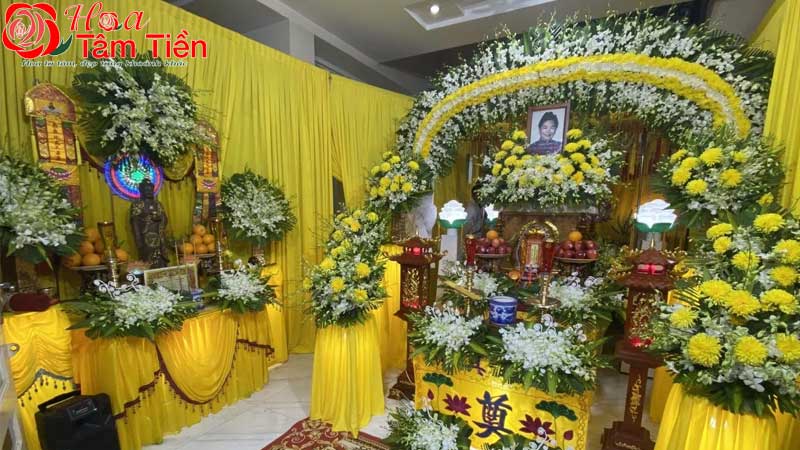 Hoa Tâm Tiền