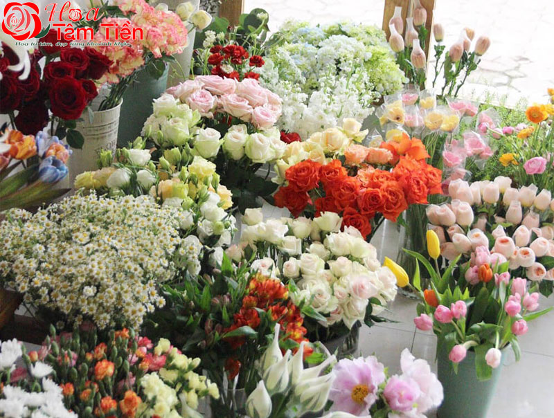 Hướng dẫn cách cắm hoa đám tang đơn giản, đẹp và ý nghĩa
