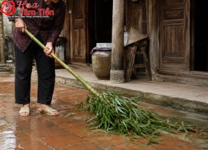 Hoa Tâm Tiền