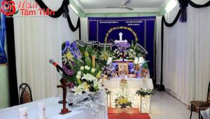 Hoa Tâm Tiền