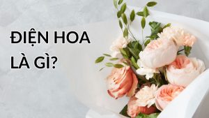Hoa Tâm Tiền