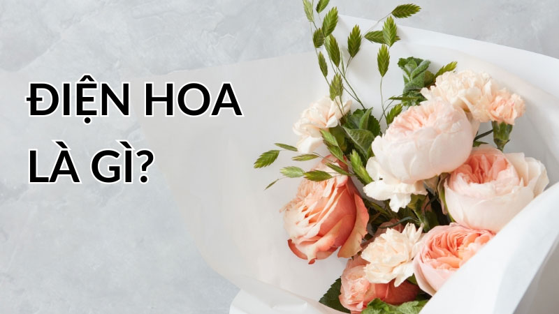 Hoa Tâm Tiền