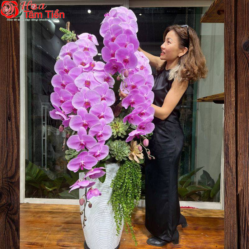 Lan hồ điệp khủng long: Đặc điểm, ý nghĩa và cách chăm sóc
