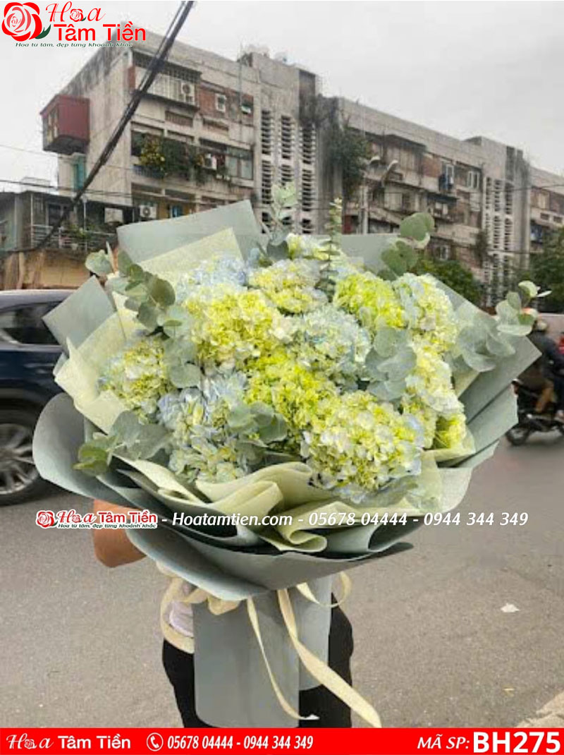 12 loài hoa cảm tạ đẹp và ý nghĩa để tỏ lòng cảm ơn sâu sắc