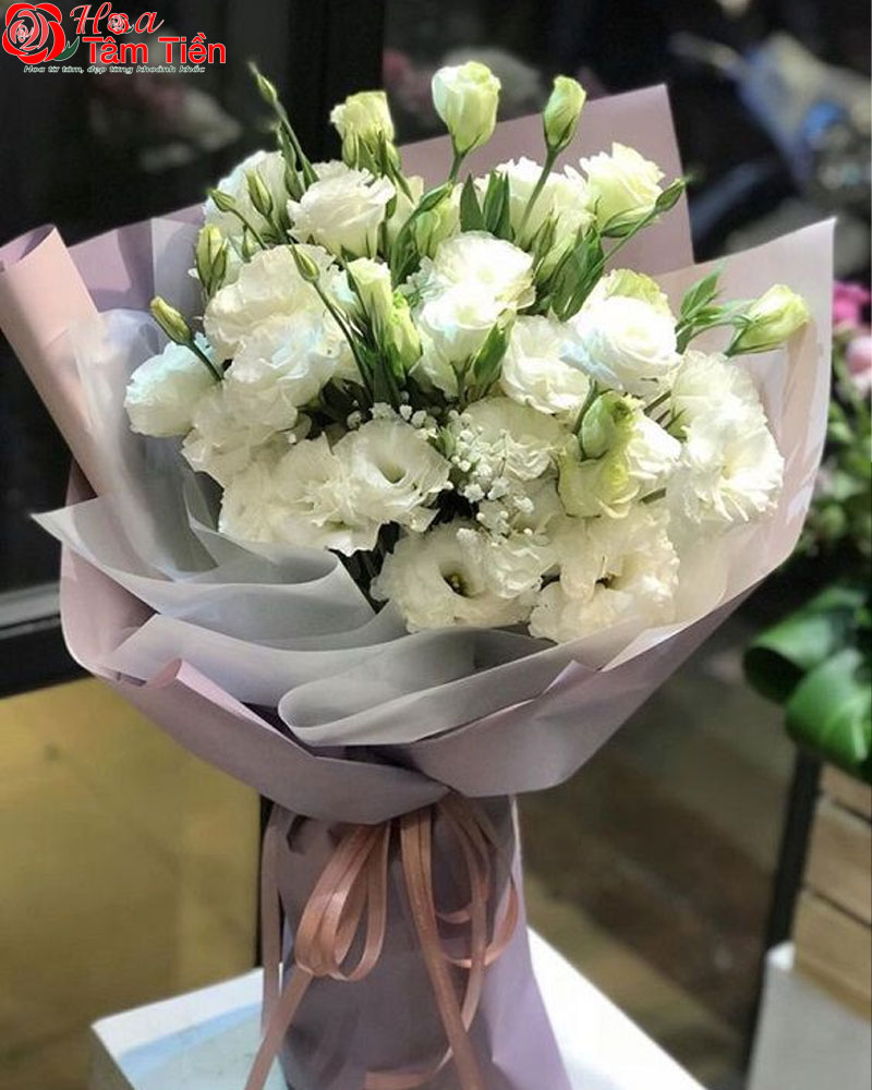 12 loài hoa cảm tạ đẹp và ý nghĩa để tỏ lòng cảm ơn sâu sắc