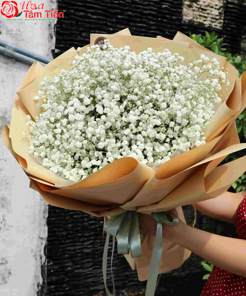 12 loài hoa cảm tạ đẹp và ý nghĩa để tỏ lòng cảm ơn sâu sắc
