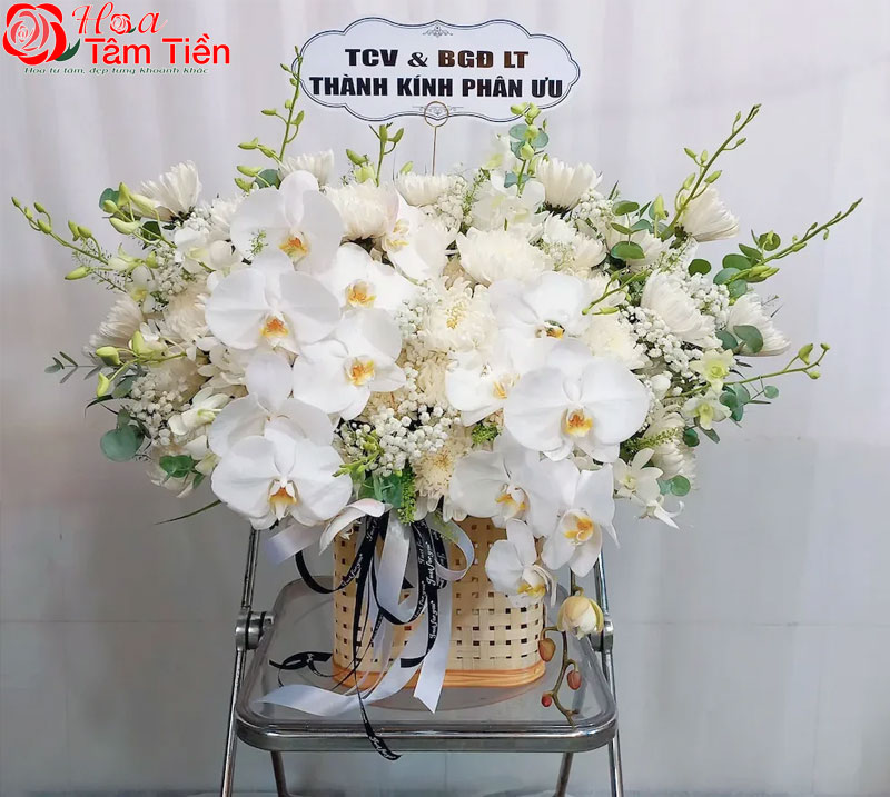 Tìm hiểu ý nghĩa của hoa lan trắng đám tang