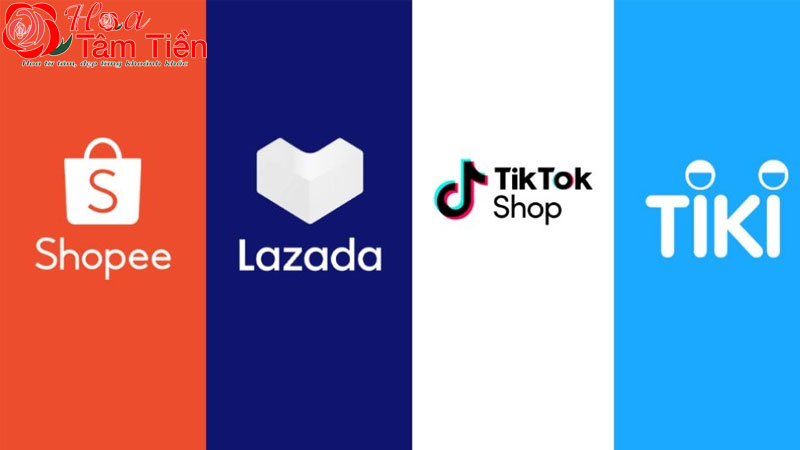 Mua cây giống lan hồ điệp ở đâu uy tín, giá rẻ?