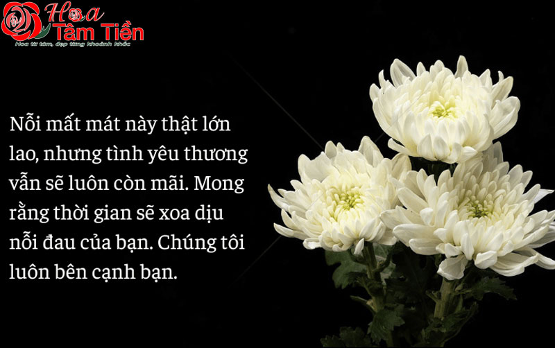 20 mẫu thiệp chia buồn đám tang ý nghĩa sâu sắc
