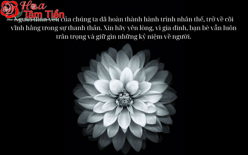 20 mẫu thiệp chia buồn đám tang ý nghĩa sâu sắc