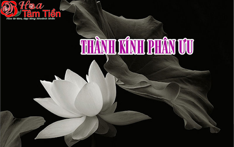 20 mẫu thiệp chia buồn đám tang ý nghĩa sâu sắc