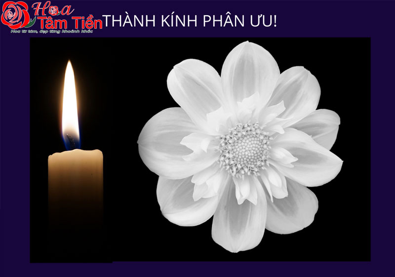 20 mẫu thiệp chia buồn đám tang ý nghĩa sâu sắc
