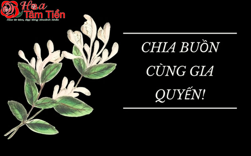 Hoa Tâm Tiền