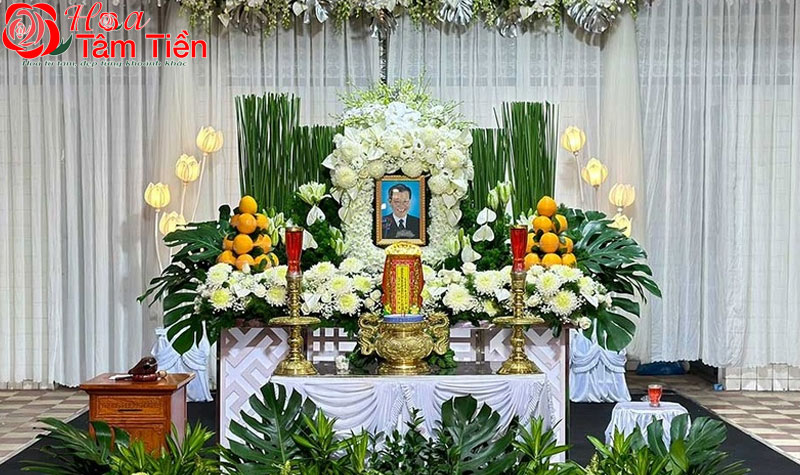 Hoa Tâm Tiền