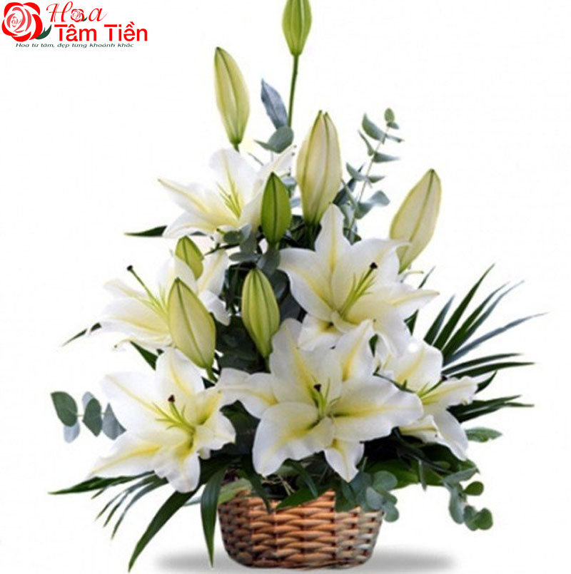 Giỏ hoa ly trắng viếng đám tang.