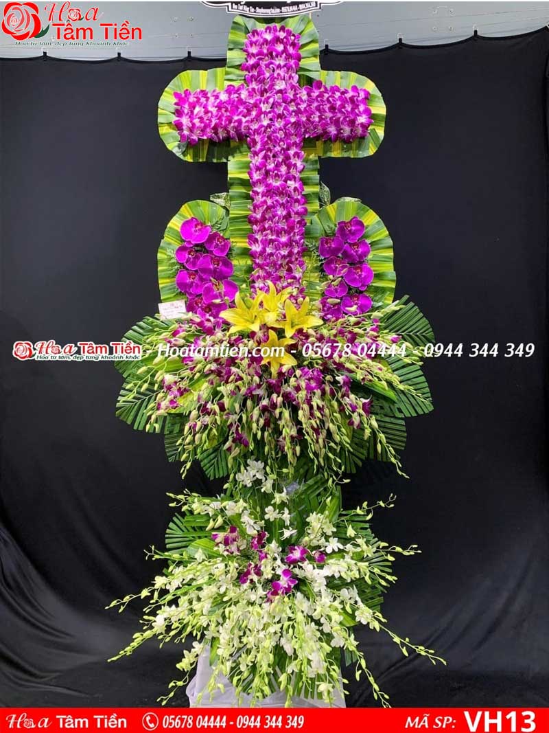 Hoa lan tím/vàng/trắng – Thanh cao và trang trọng