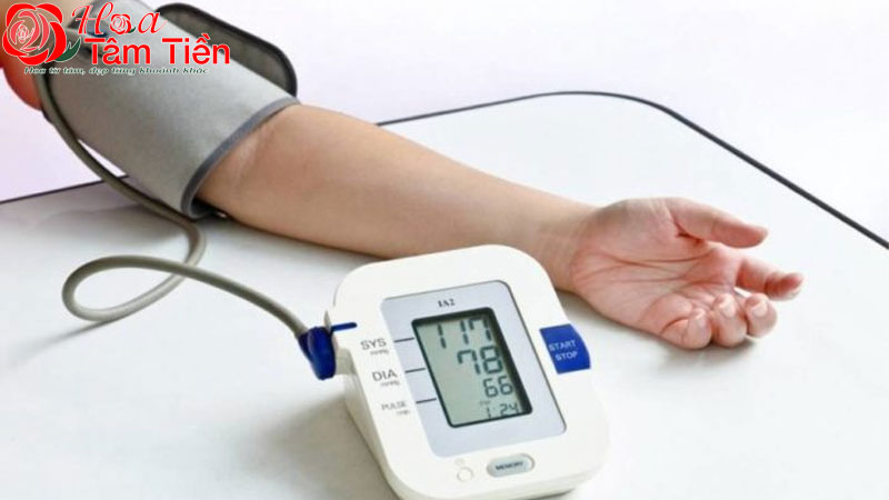 Hoa Tâm Tiền Máy đo huyết áp