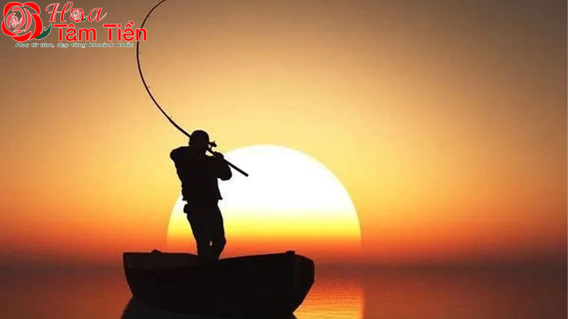 Hoa Tâm Tiền Bộ cần câu cá