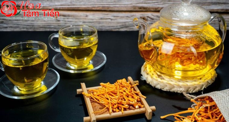 Trà thảo mộc & đông trùng hạ thảo