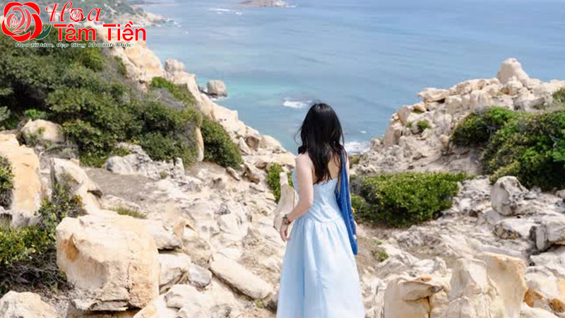 chuyến đi ngắn