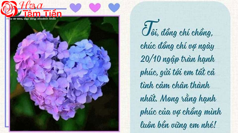 Hoa Tâm Tiền