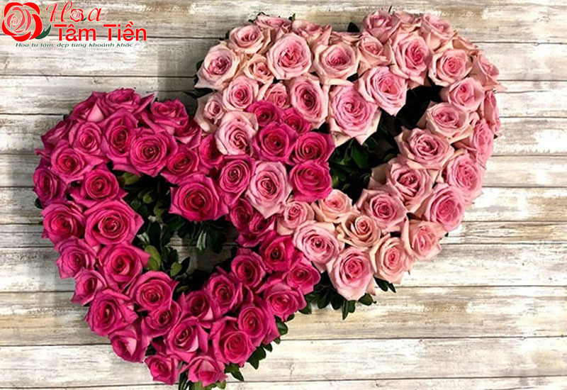 Hoa hồng thường được chọn để thể hiện tình yêu, sự quan tâm và trân trọng.
