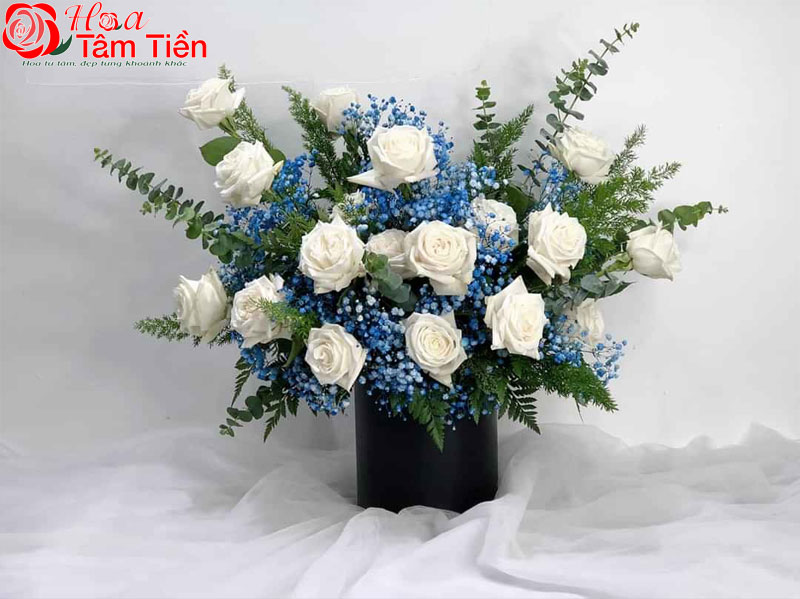 Hoa Tâm Tiền Hoa hồng: Tượng trưng cho lòng biết ơn, sự trân trọng và tình cảm chân thành.