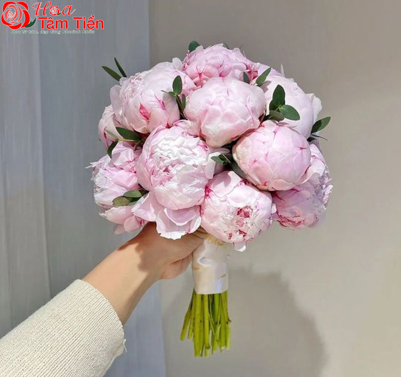 Hoa mẫu đơn cưới