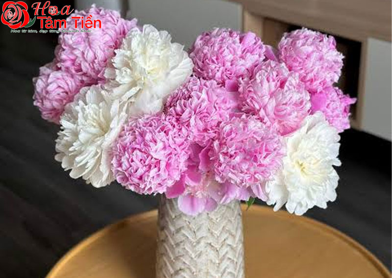 Bình hoa mẫu đơn dành tặng mẹ