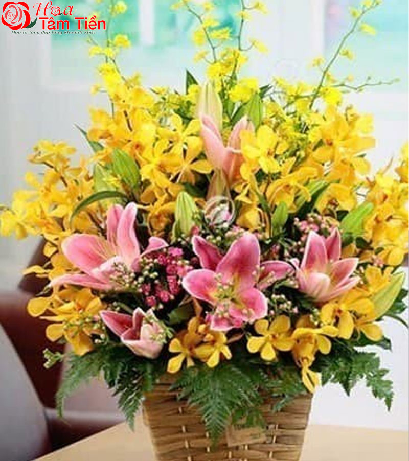 Hoa Tâm Tiền Lẵng hoa lan thanh lịch. Mẫu 3